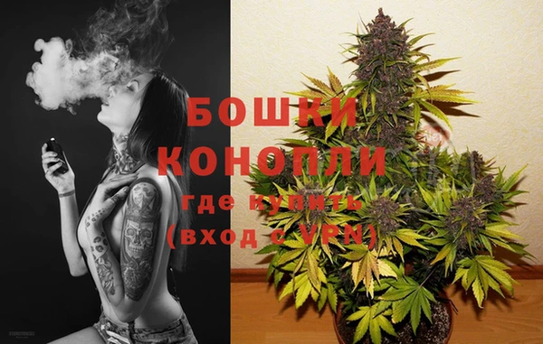 спиды Кукмор